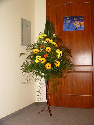 Květinové dekorace, Hotel Sen