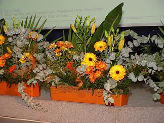 Květinové dekorace, Ostrava