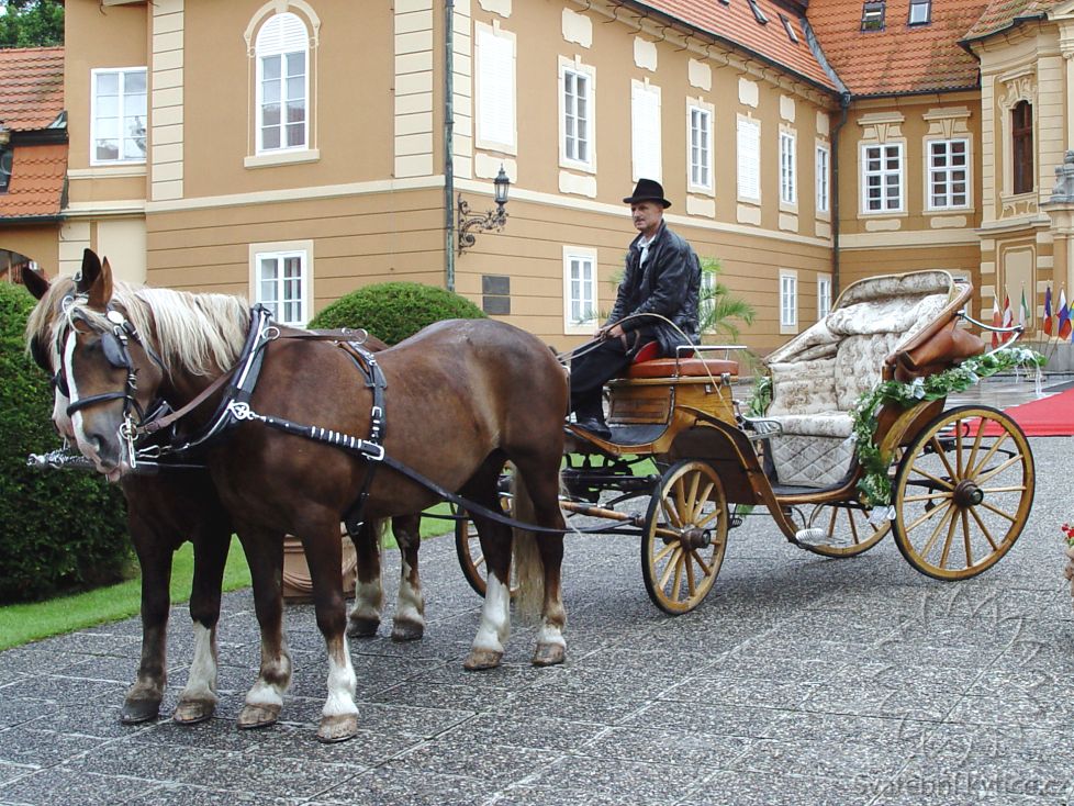 Květinová výzdoba kočáru