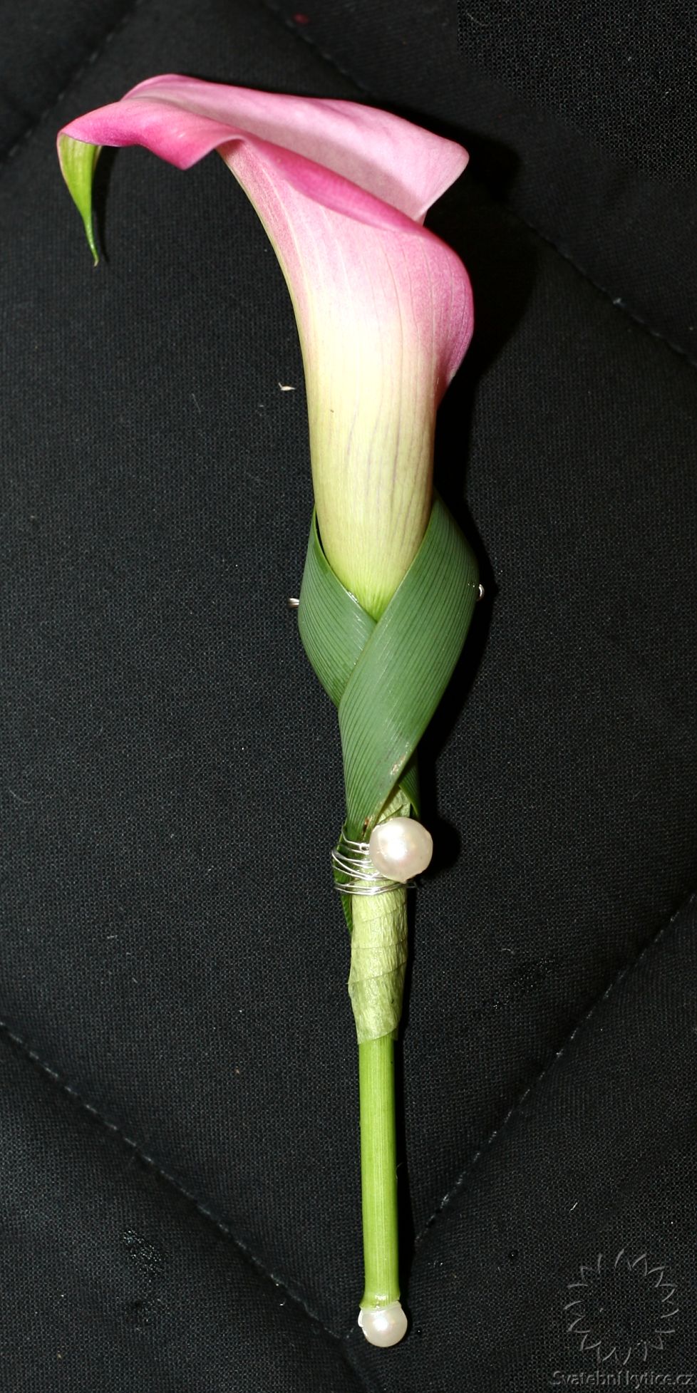 Korsáž pro ženicha